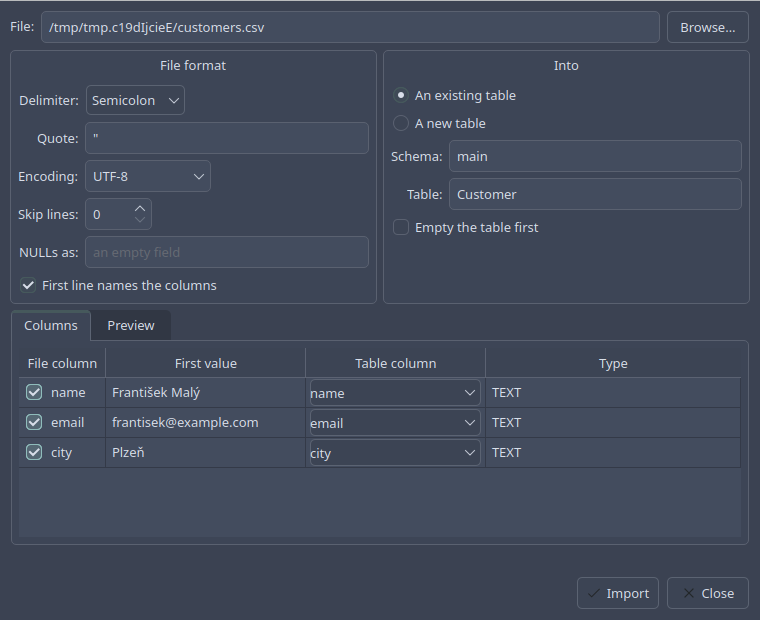 The import dialog: the file's format, the table to fill, the columns matched, and a preview